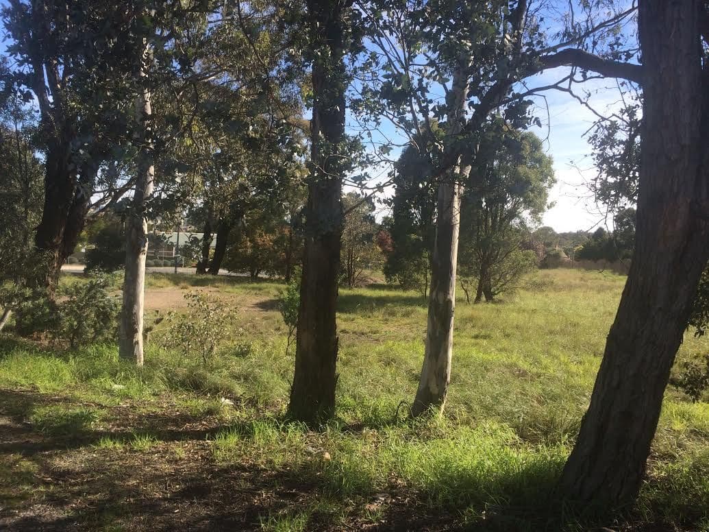 54 Sydney Road, GOULBURN NSW 2580, Goulburn - Thumbnail 3