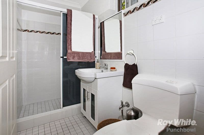 22 Warwick Street, Punchbowl NSW 2196, Punchbowl - Thumbnail 7