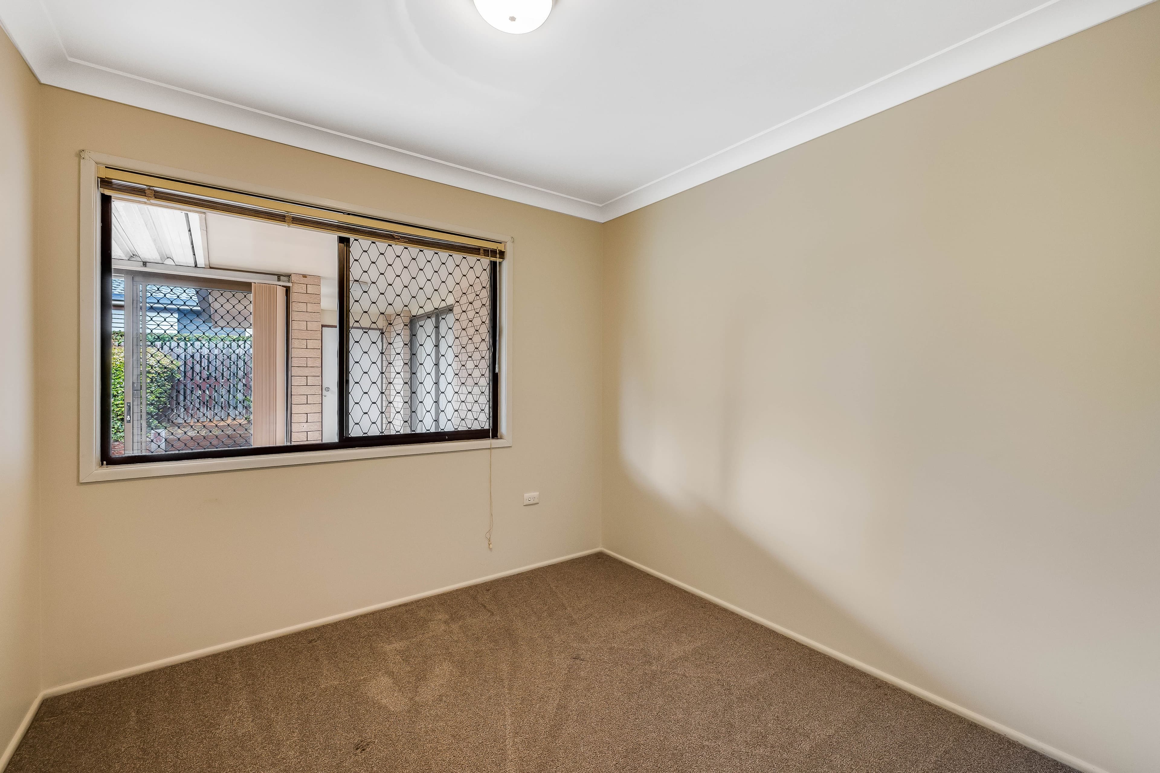18 Pine Court, Rangeville QLD 4350, Rangeville - Thumbnail 6