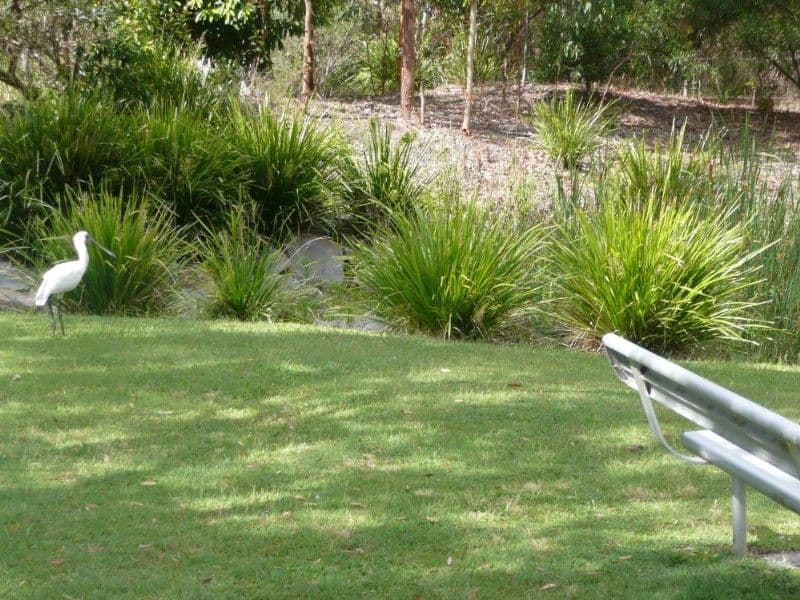 17 Woodbridge Crescent, LAKE MUNMORAH NSW 2259, Lake Munmorah - Thumbnail 6