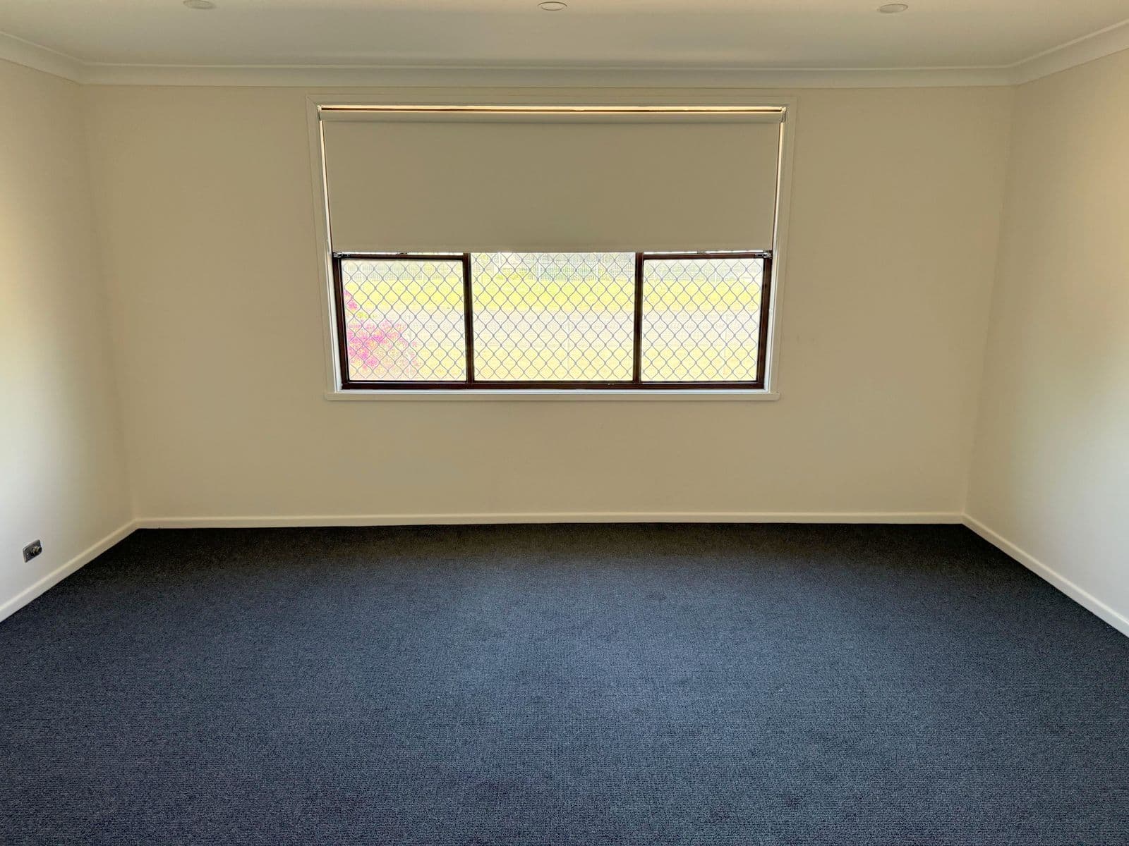 1 Alcare Street, Moree NSW 2400, Moree - Thumbnail 4