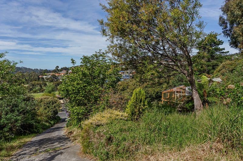 13 Sophia Street, KINGSTON TAS 7050, Kingston - Thumbnail 6