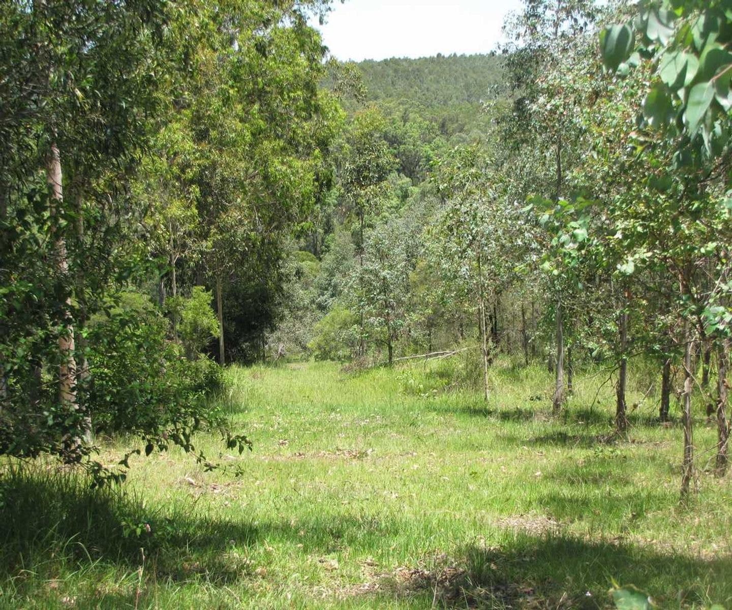 Ralston Clarence Way, Old Bonalbo - Thumbnail 4