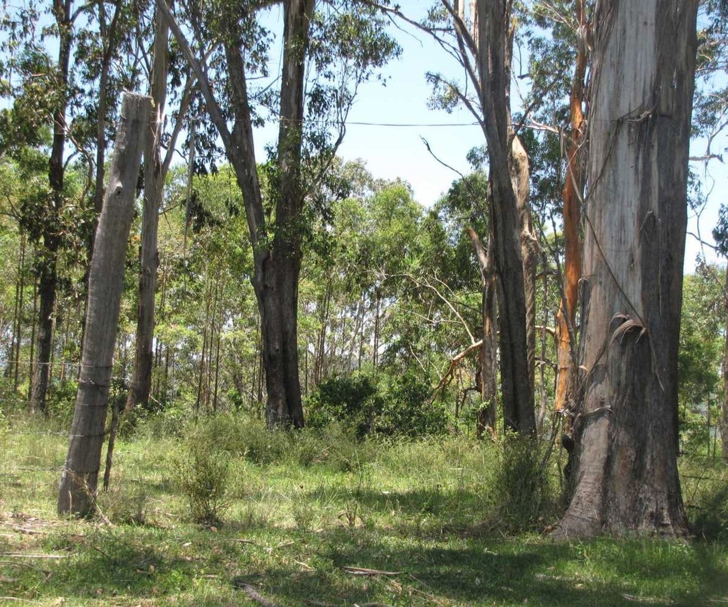 Ralston Clarence Way, Old Bonalbo - Thumbnail 6