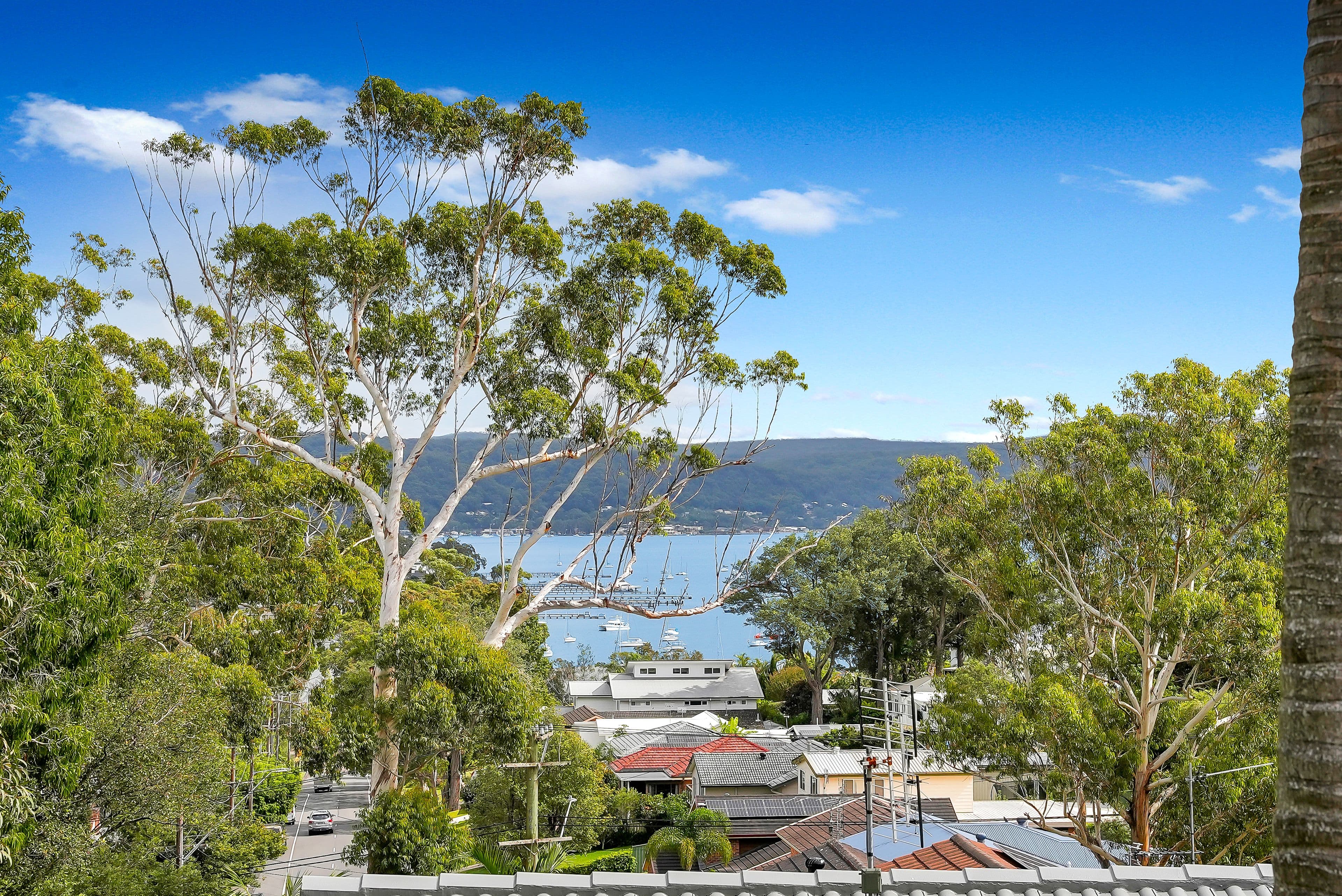 12 Llewellyn Street, Saratoga NSW 2251, Saratoga - Thumbnail 2