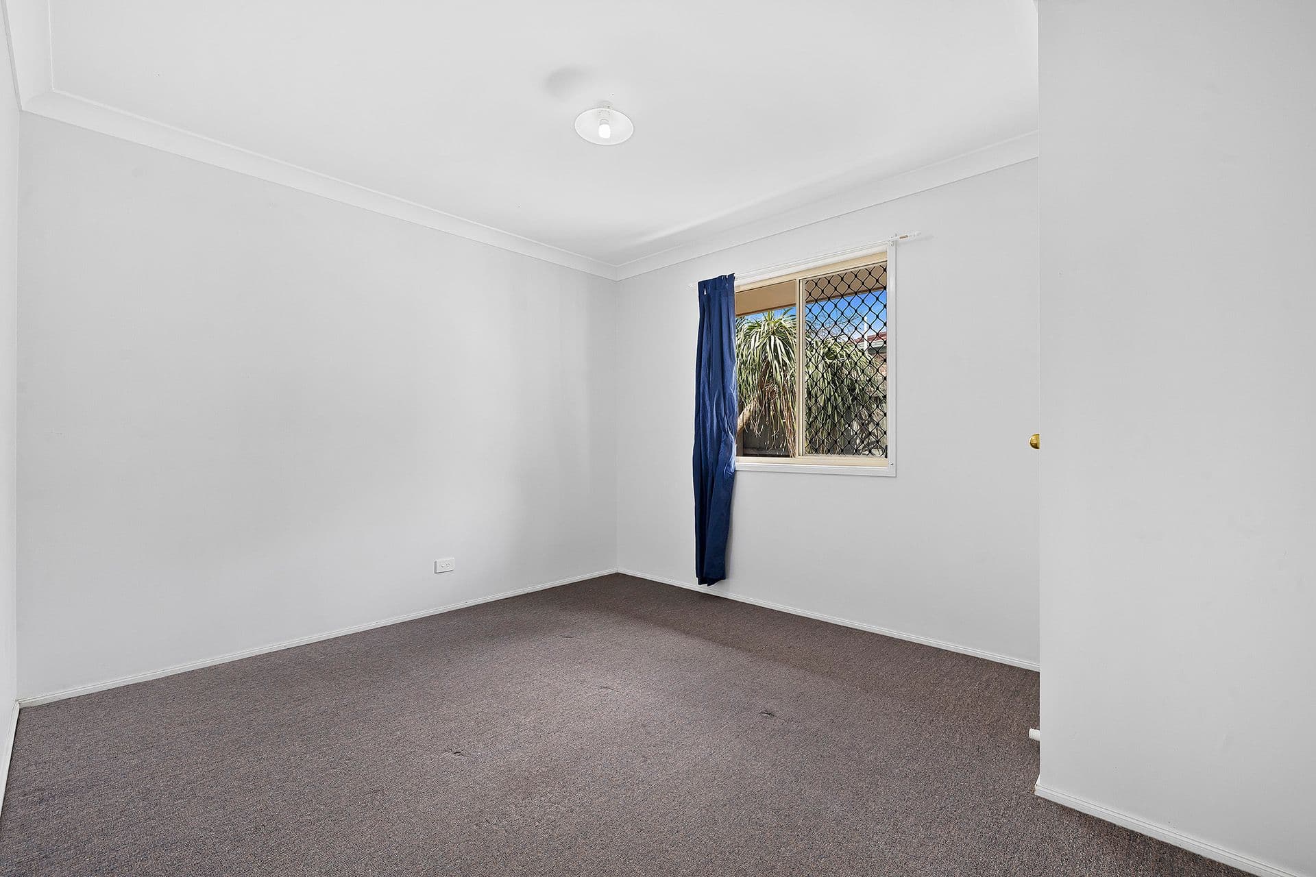 9 Claremont Court, Narangba QLD 4504, Narangba - Thumbnail 7