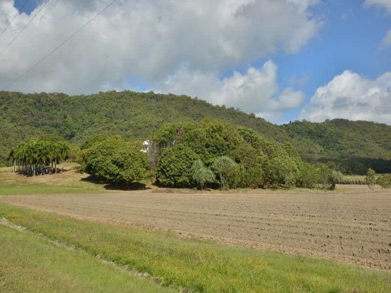 42  COOLALINGA Drive, PORT DOUGLAS QLD 4877, Port Douglas - Thumbnail 2