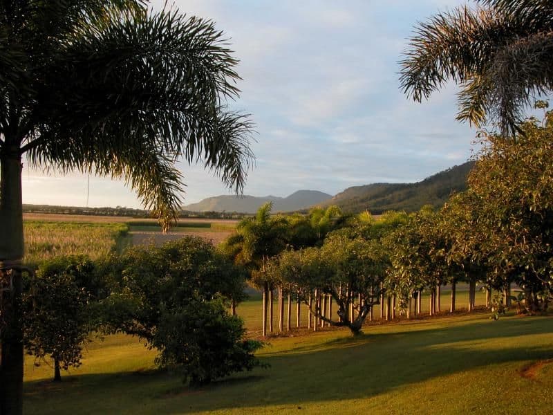 42  COOLALINGA Drive, PORT DOUGLAS QLD 4877, Port Douglas - Thumbnail 3
