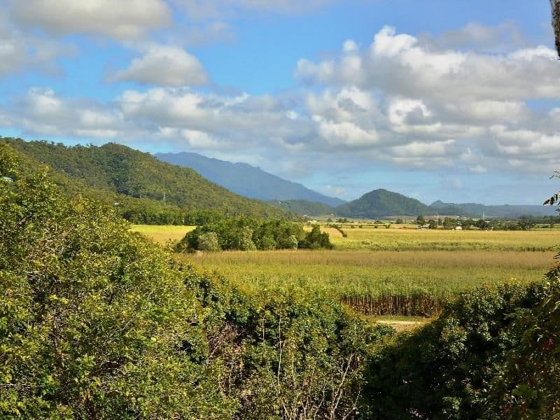 42  COOLALINGA Drive, PORT DOUGLAS QLD 4877, Port Douglas - Thumbnail 6