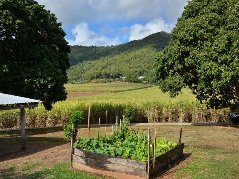 42  COOLALINGA Drive, PORT DOUGLAS QLD 4877, Port Douglas - Thumbnail 7