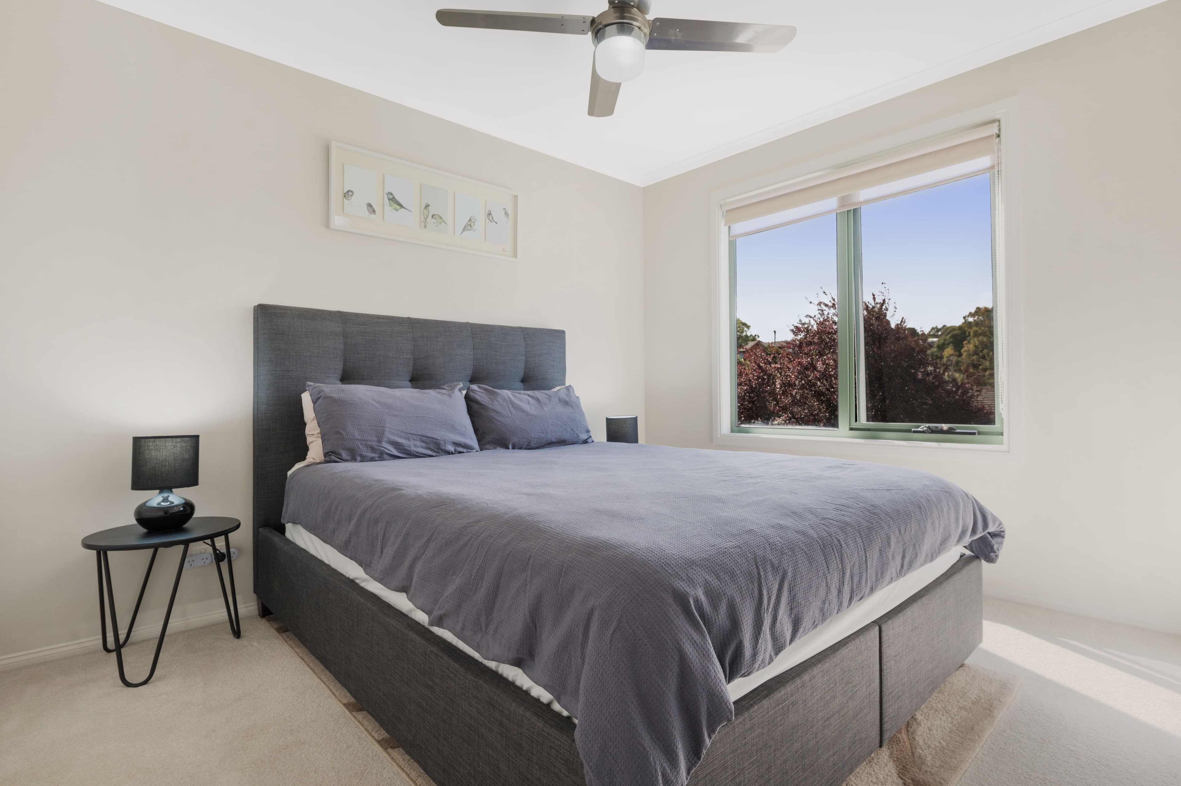 617 Tress Street, Golden Point VIC 3350, Golden Point - Thumbnail 7