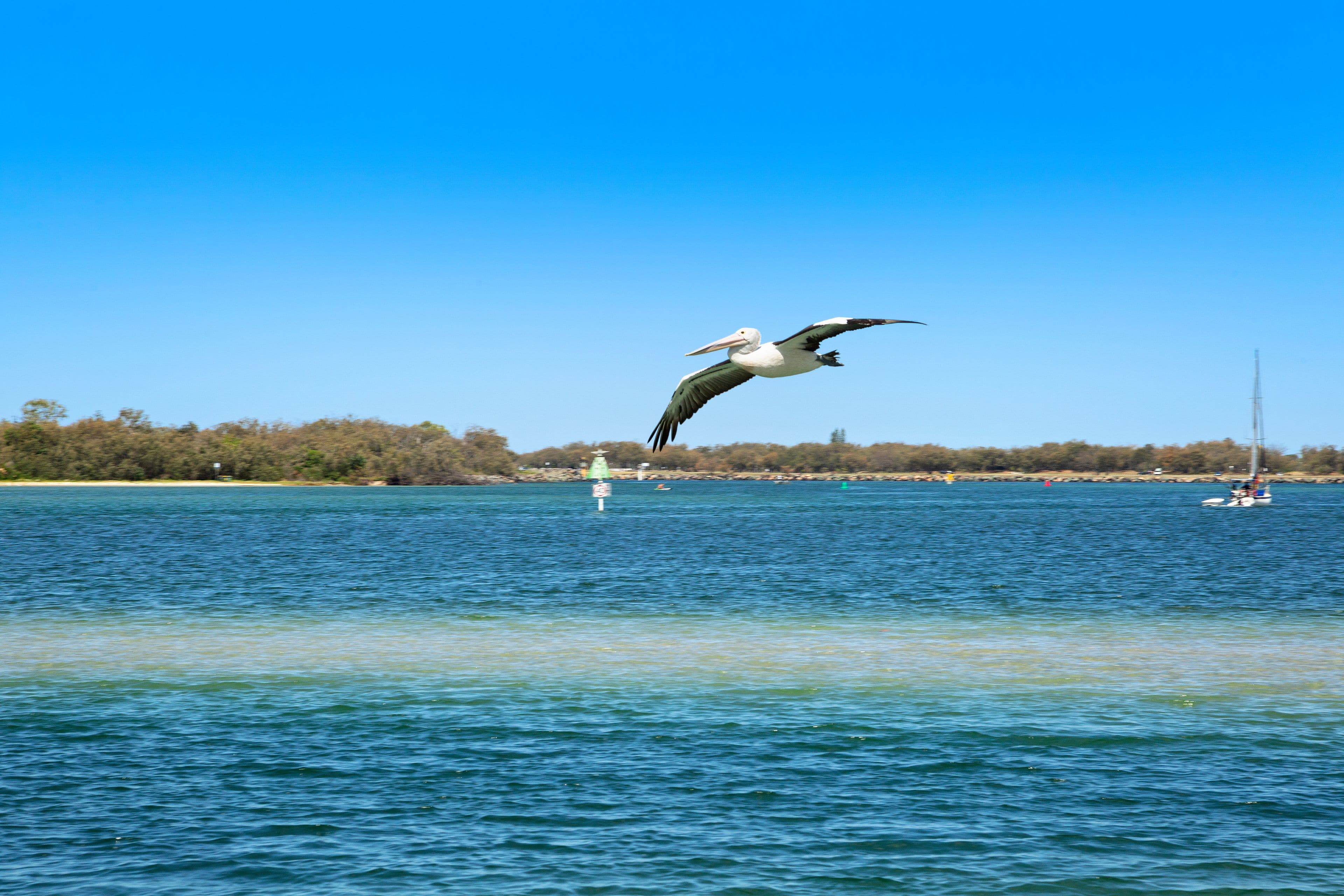 33 LODER Street, Biggera Waters QLD 4216, Biggera Waters - Thumbnail 8