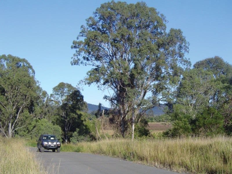 YATALA QLD 4207, Yatala - Thumbnail 8