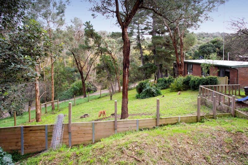 51 Kangaroo Ground - Warrandyte Road, NORTH WARRANDYTE VIC 3113, North Warrandyte - Thumbnail 3