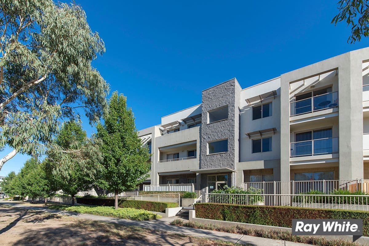 31 Thynne Street, Bruce ACT 2617, Bruce - Image 1