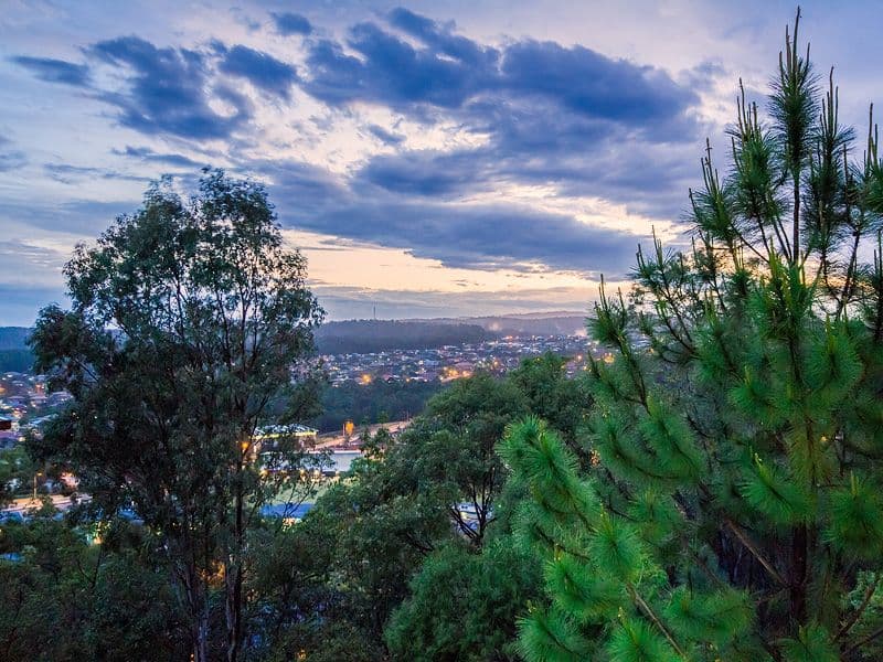 38 Midway Terrace, Pacific Pines QLD 4211, Pacific Pines - Thumbnail 3
