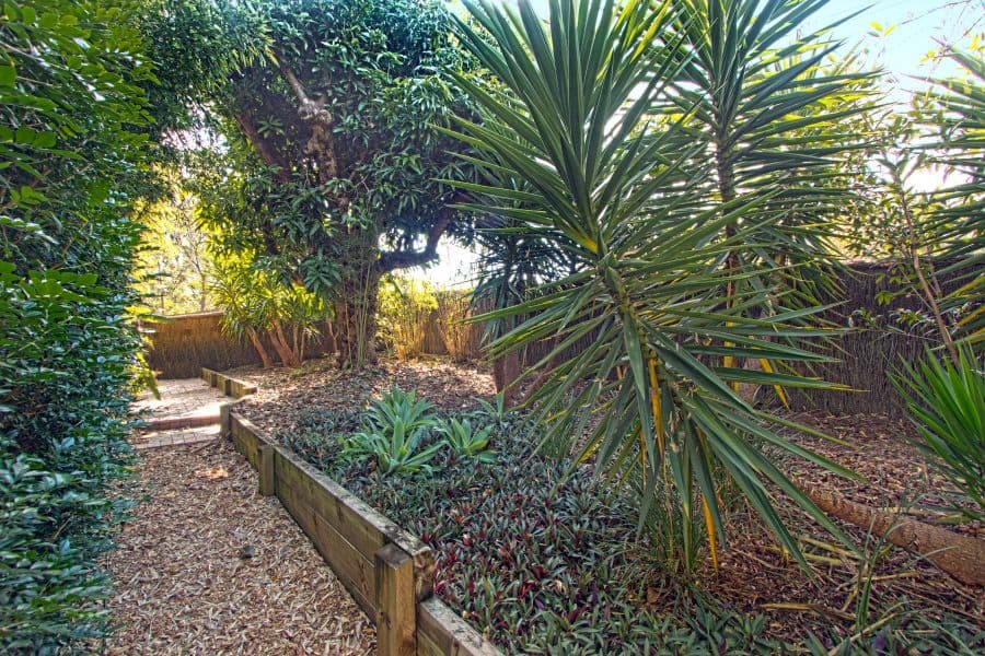 52 Finney Road, Indooroopilly QLD 4068, Indooroopilly - Thumbnail 3