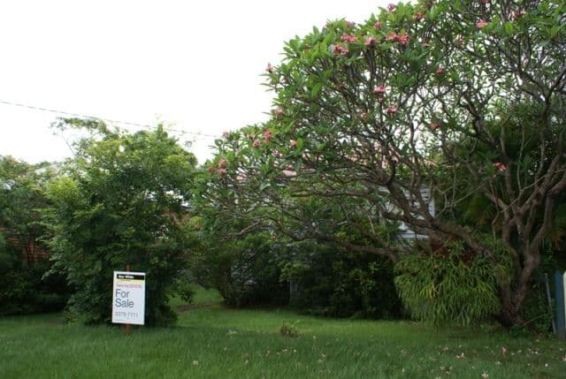 75 Sandon Street, GRACEVILLE QLD 4075, Graceville - Thumbnail 3