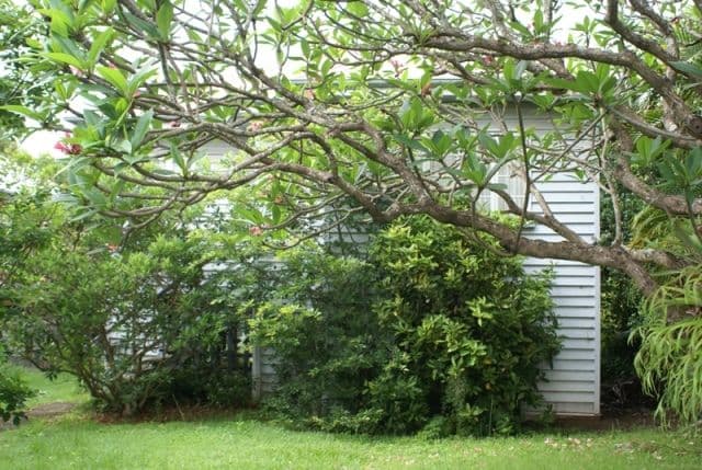 75 Sandon Street, GRACEVILLE QLD 4075, Graceville - Thumbnail 4