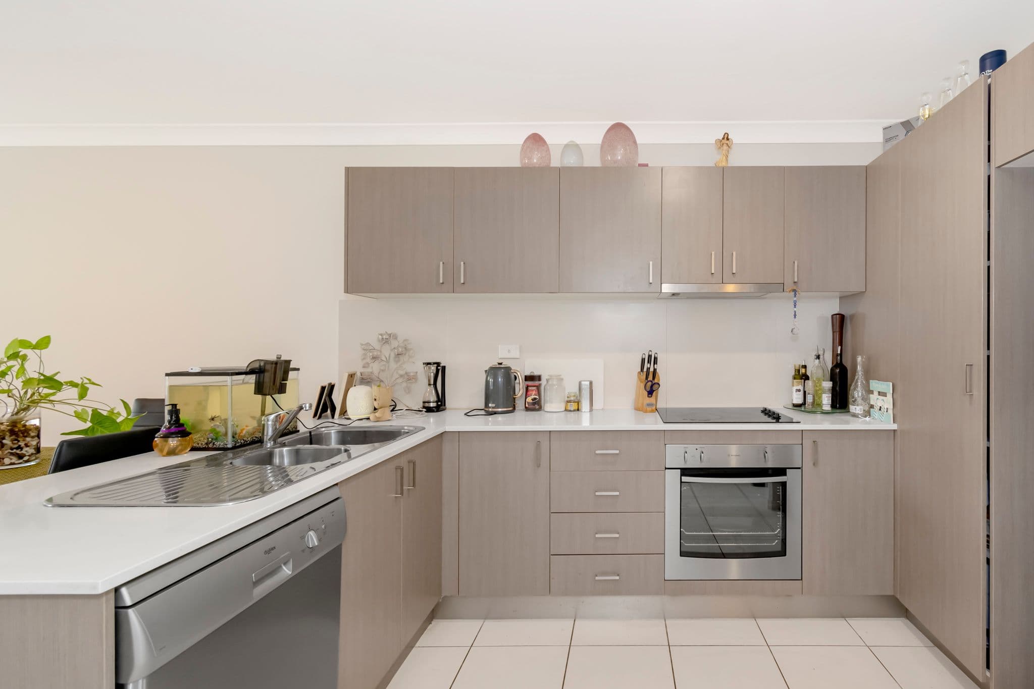 45 Christopher Street, Pimpama QLD 4209, Pimpama - Thumbnail 2