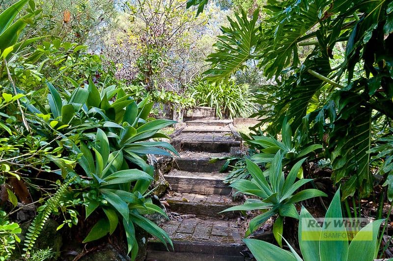 11 Miers Road, OCEAN VIEW QLD 4521, Ocean View - Thumbnail 6
