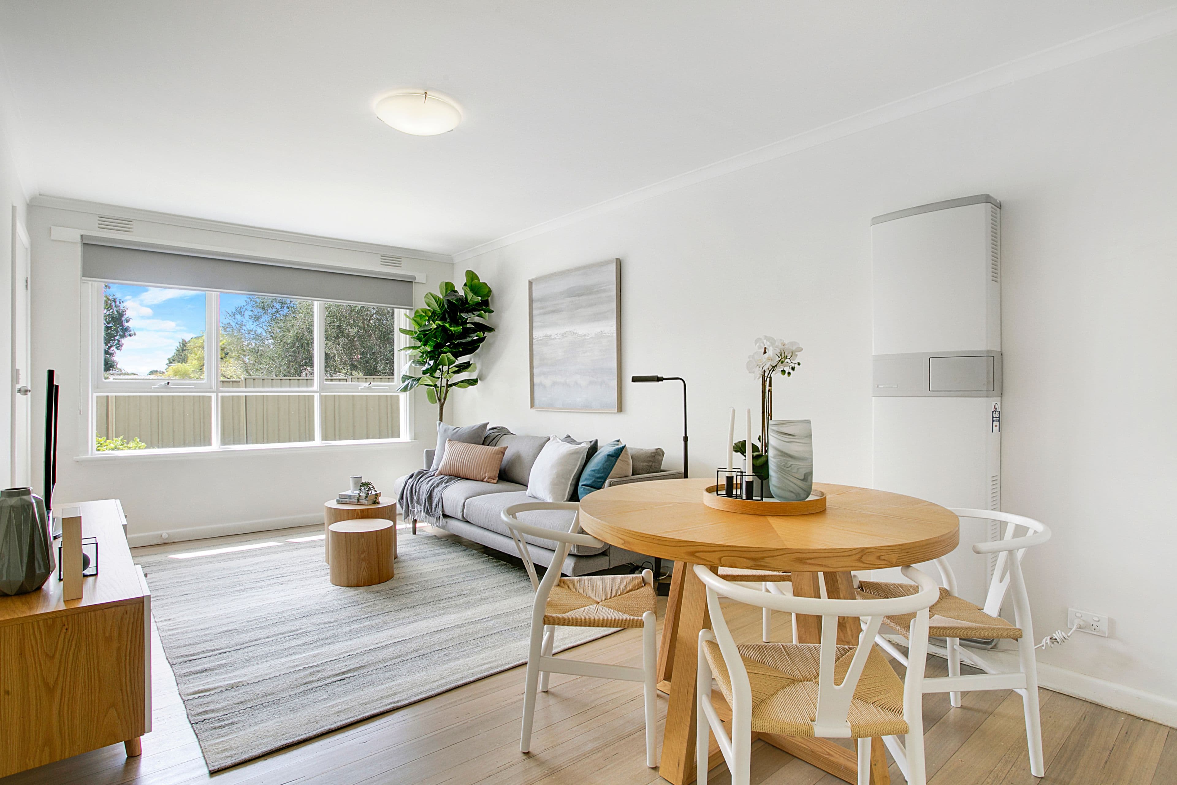 16 Petrie Street, Frankston VIC 3199, Frankston - Thumbnail 4