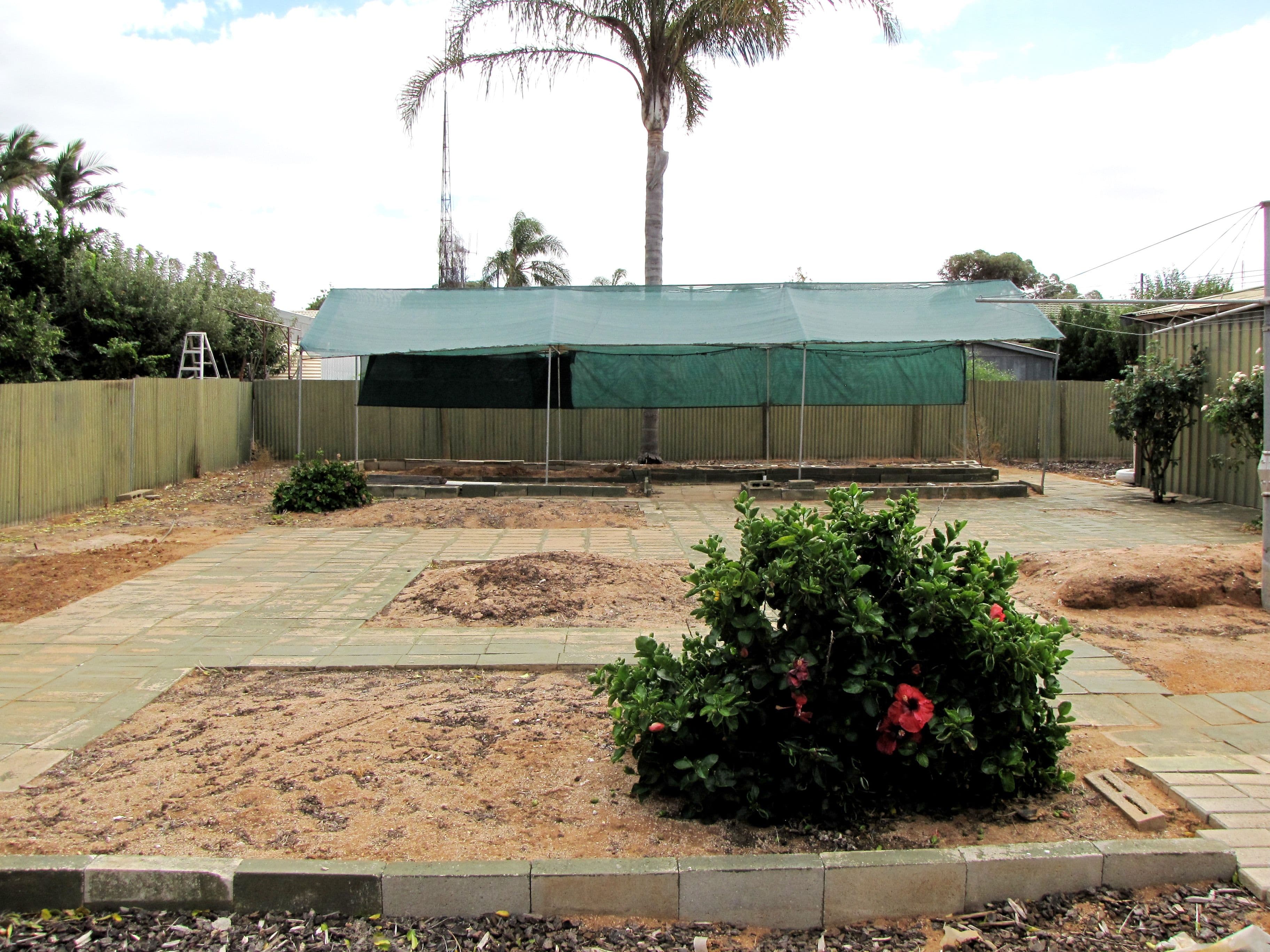 3 Vasey Street, Barmera SA 5345, Barmera - Thumbnail 8