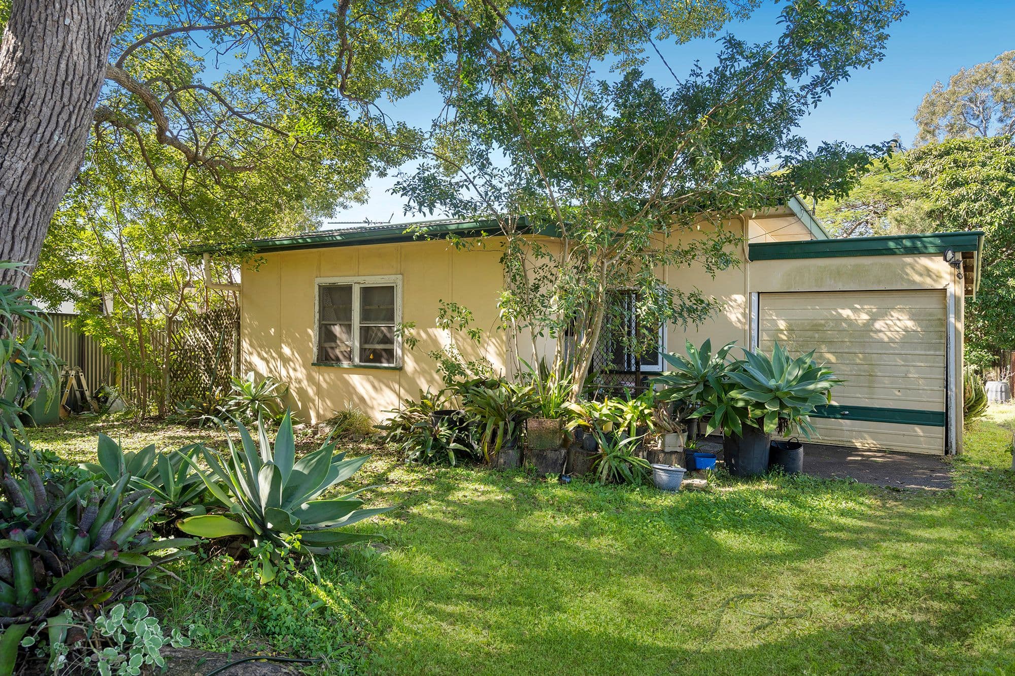 13 Patricia Avenue, Woodridge QLD 4114, Woodridge - Thumbnail 8