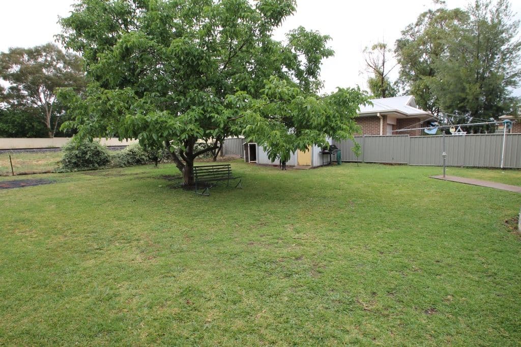 20 Fern Street, QUIRINDI NSW 2343, Quirindi - Thumbnail 8