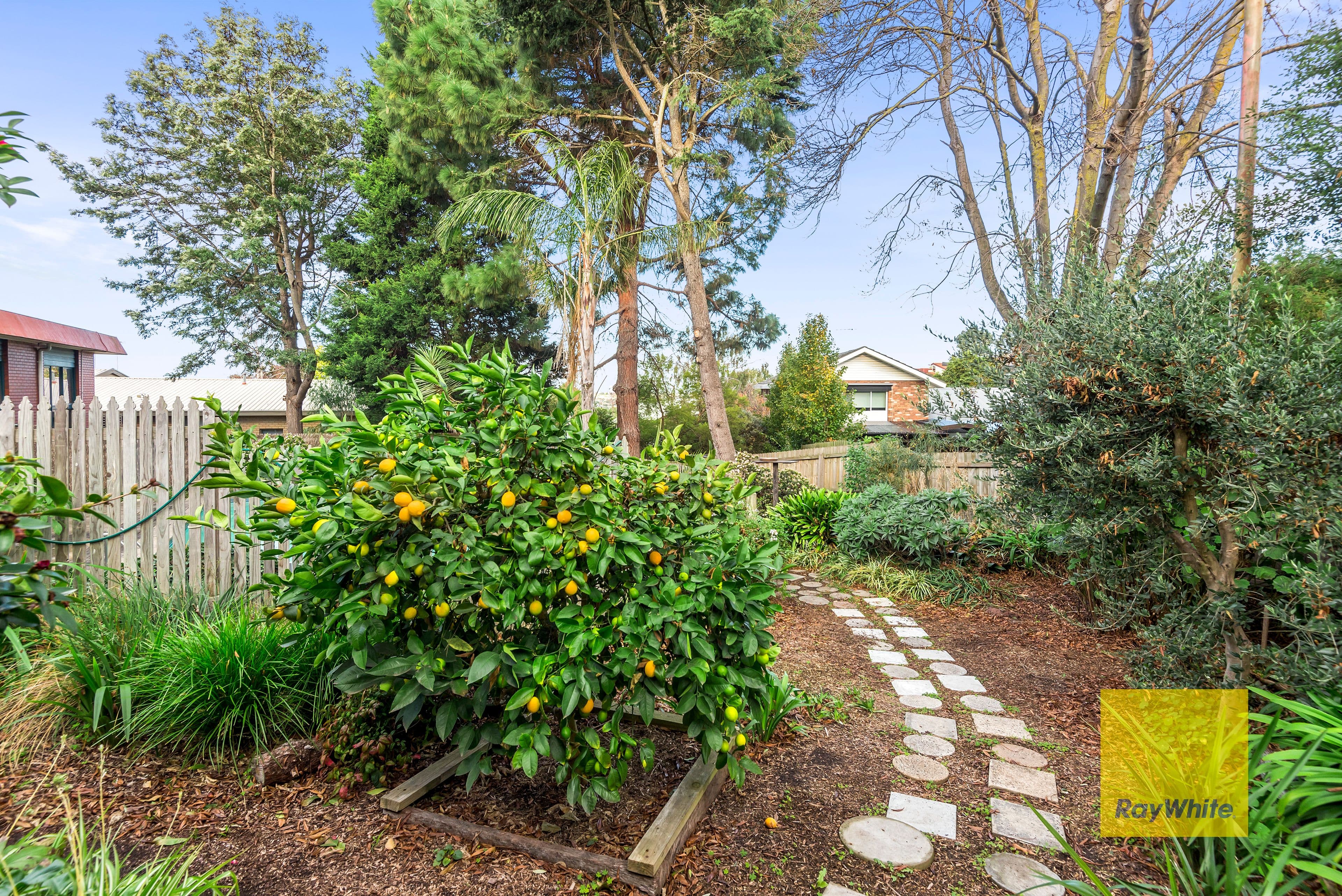 7 Teasdale Court, Highton VIC 3216, Highton - Thumbnail 8