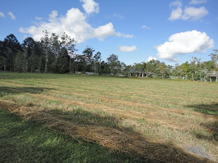 Lot 14, 0 Carrington Road, Carrington QLD 4883, Carrington - Image 1