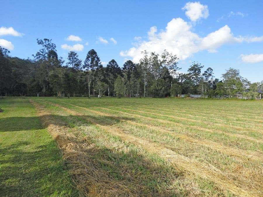 Lot 14, 0 Carrington Road, Carrington QLD 4883, Carrington - Thumbnail 2