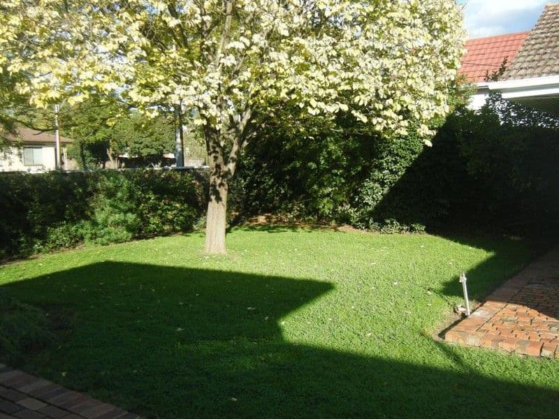 319 Glynburn Road, KENSINGTON PARK SA 5068, Kensington Park - Thumbnail 2