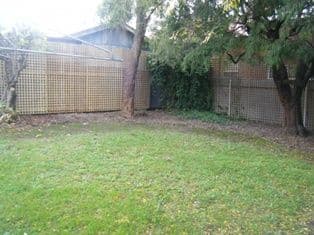 319 Glynburn Road, KENSINGTON PARK SA 5068, Kensington Park - Thumbnail 8