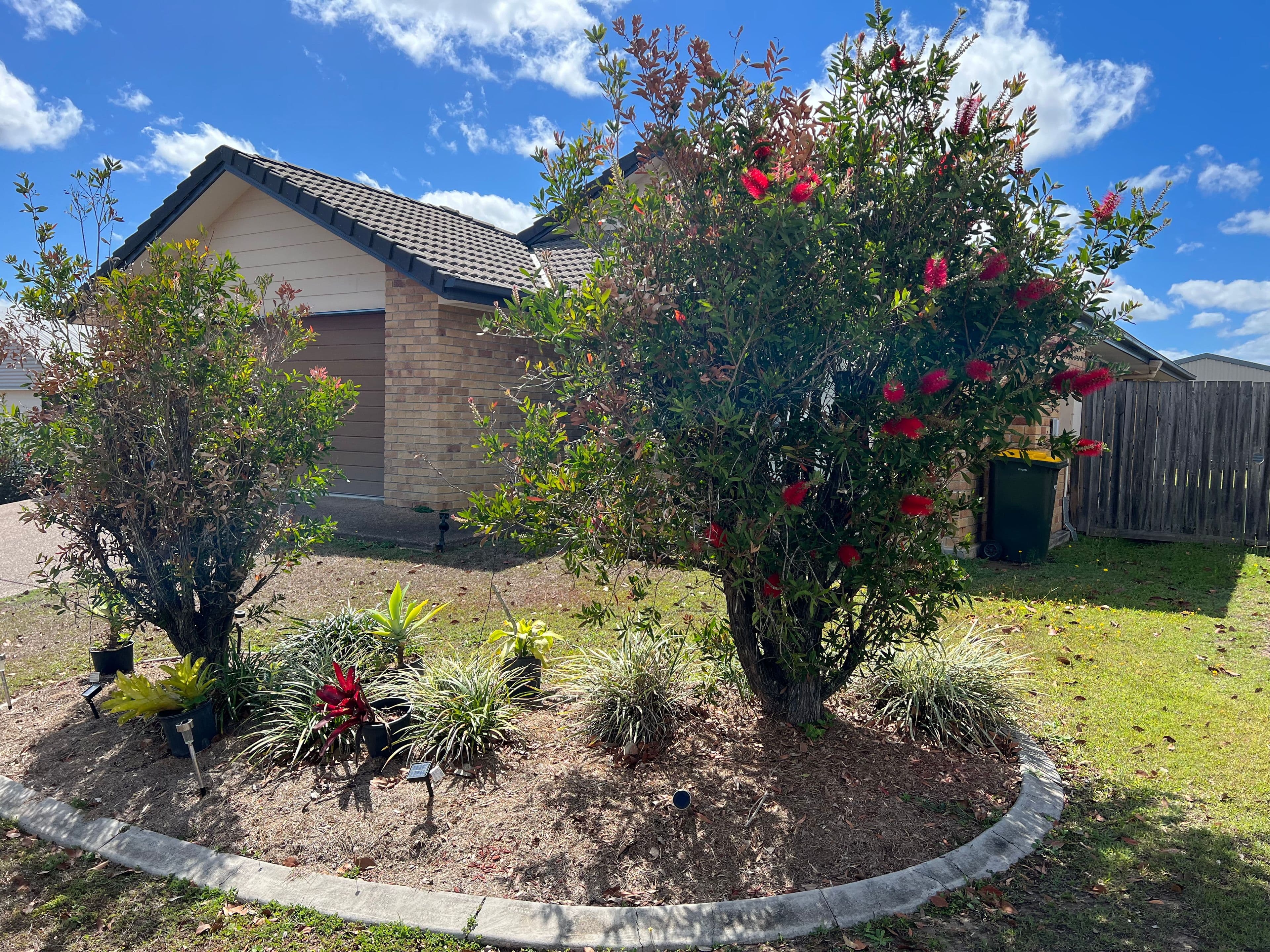 81 Tulipwood Drive, Tinana QLD 4650, Tinana - Thumbnail 3