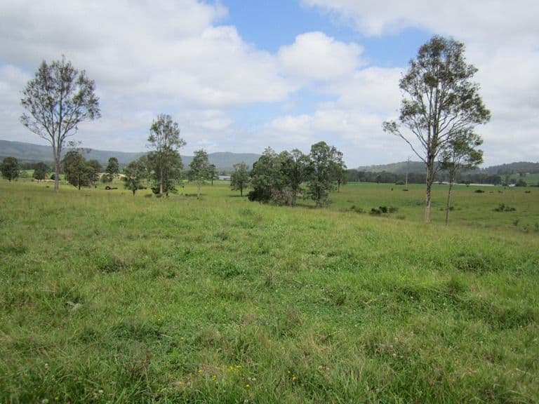 Lot 1, 433 Gresford Road, PATERSON NSW 2421, Paterson - Thumbnail 2