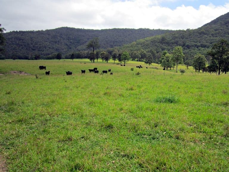 Lot 1, 433 Gresford Road, PATERSON NSW 2421, Paterson - Thumbnail 3