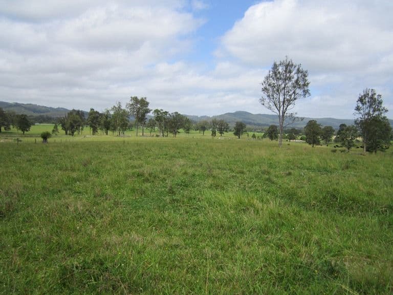 Lot 1, 433 Gresford Road, PATERSON NSW 2421, Paterson - Thumbnail 5