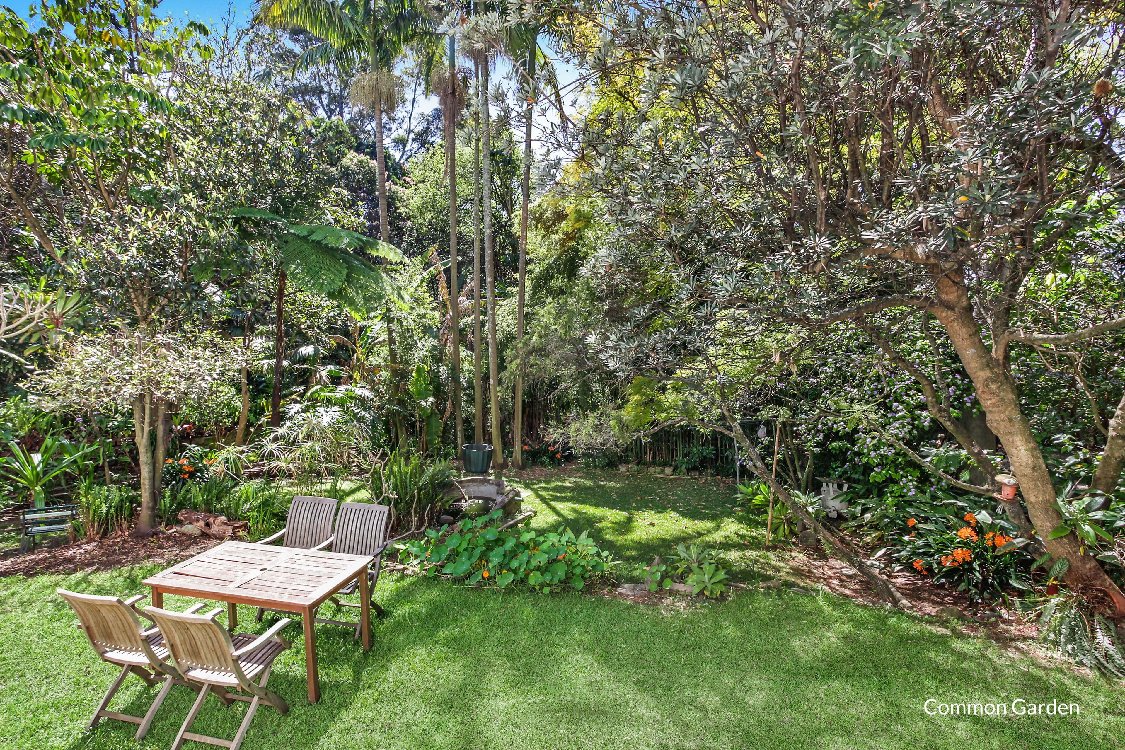 295 Edgecliff Road, Woollahra NSW 2025, Woollahra - Thumbnail 6