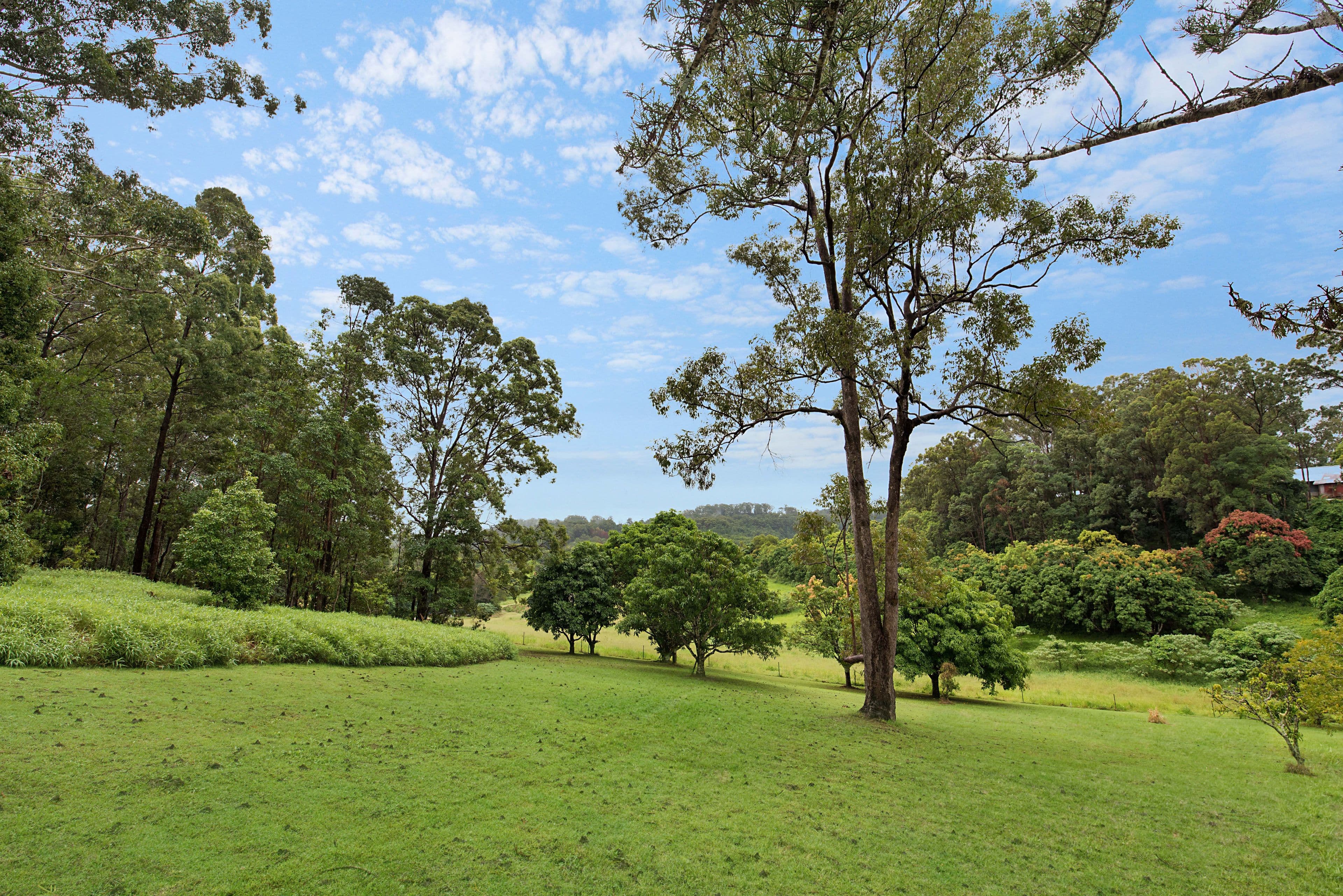 357 Diddillibah Road, Diddillibah QLD 4559, Diddillibah - Thumbnail 2