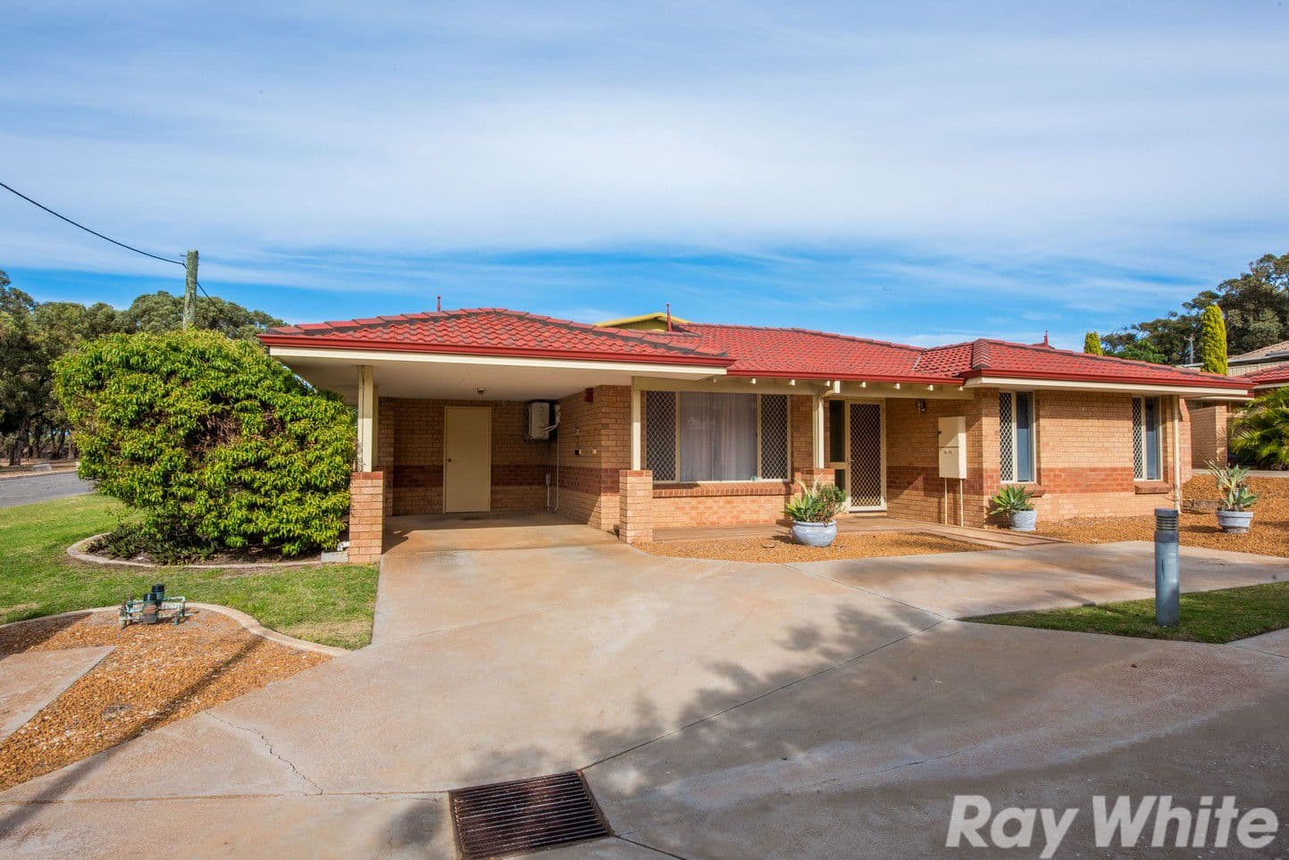 49 Railway Street, Bluff Point WA 6530, Bluff Point - Image 1