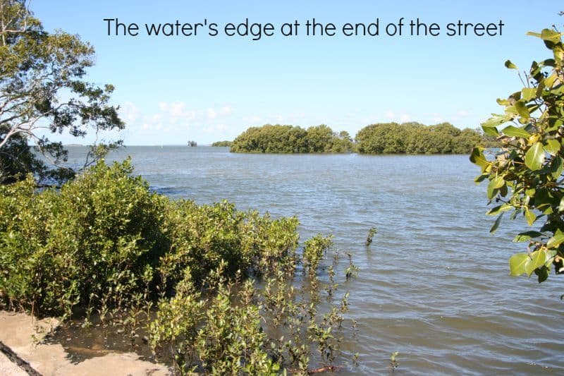 61 Cobar Street, Lota QLD 4179, Lota - Thumbnail 5