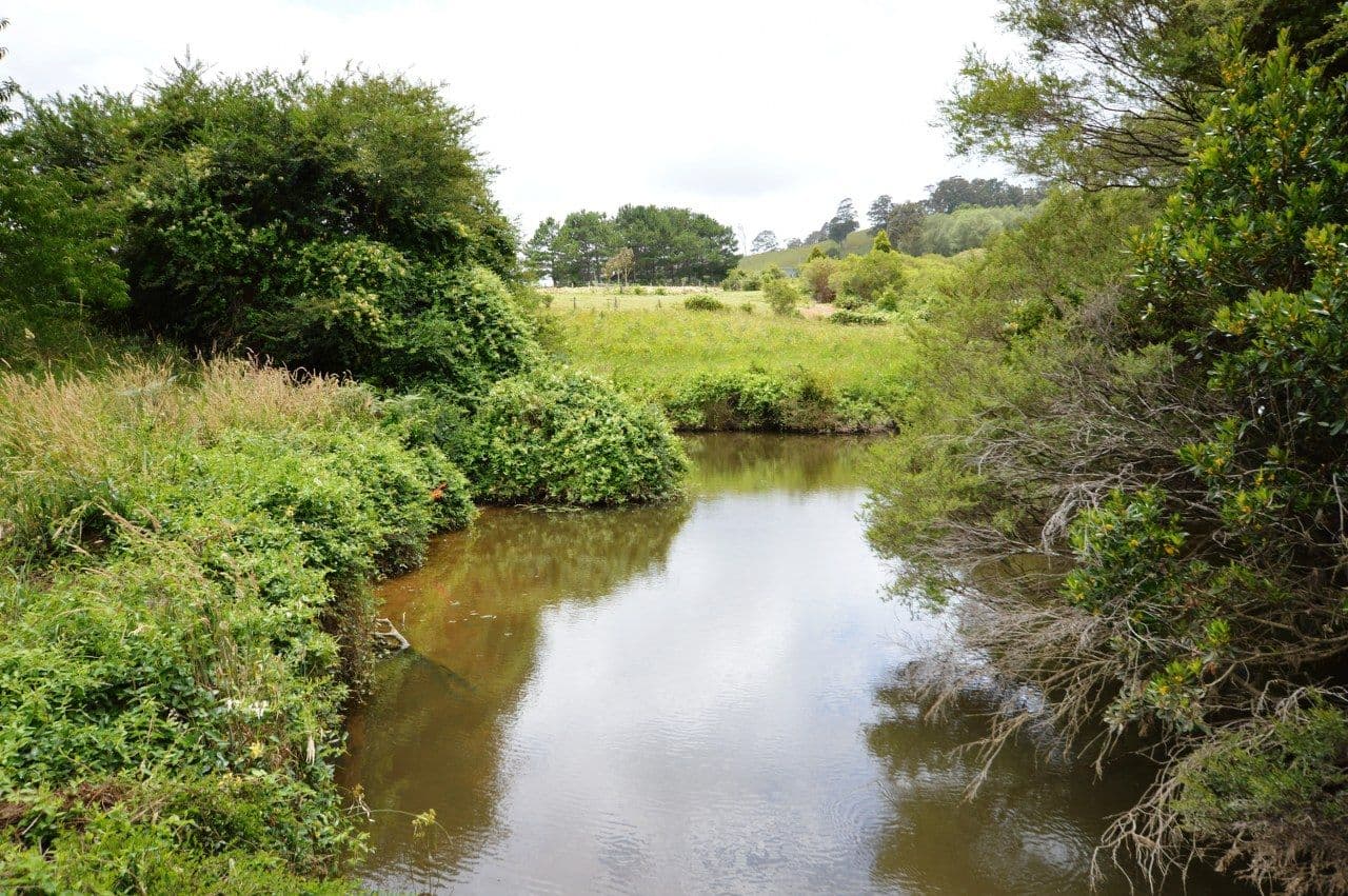 237 Camp Creek Road, LOWANNA NSW 2450, Lowanna - Thumbnail 5