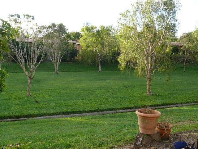 17 Crows Ash Court, OXENFORD QLD 4210, Oxenford - Thumbnail 7