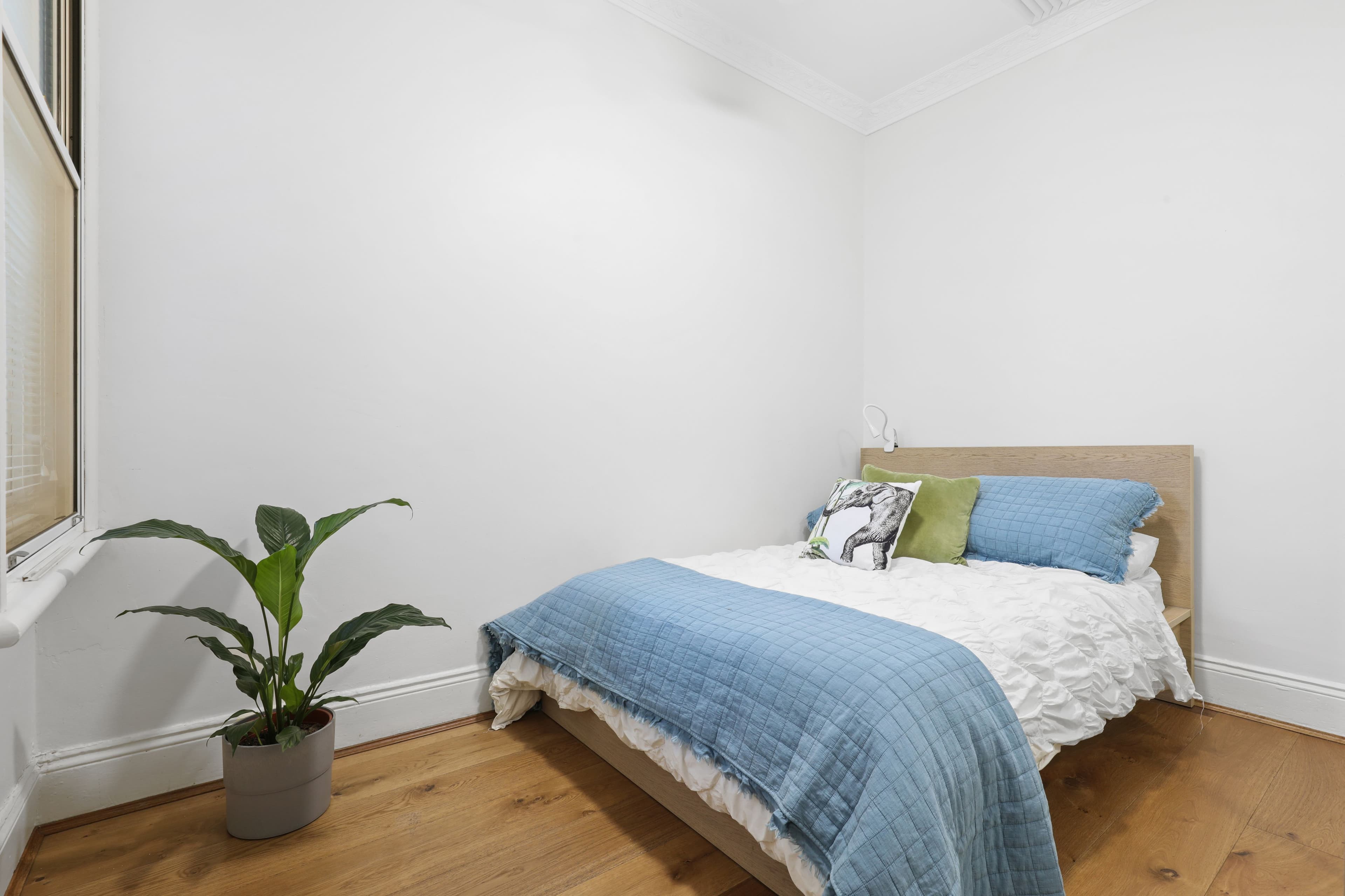 41 Frederick Street, St Peters NSW 2044, St Peters - Thumbnail 7