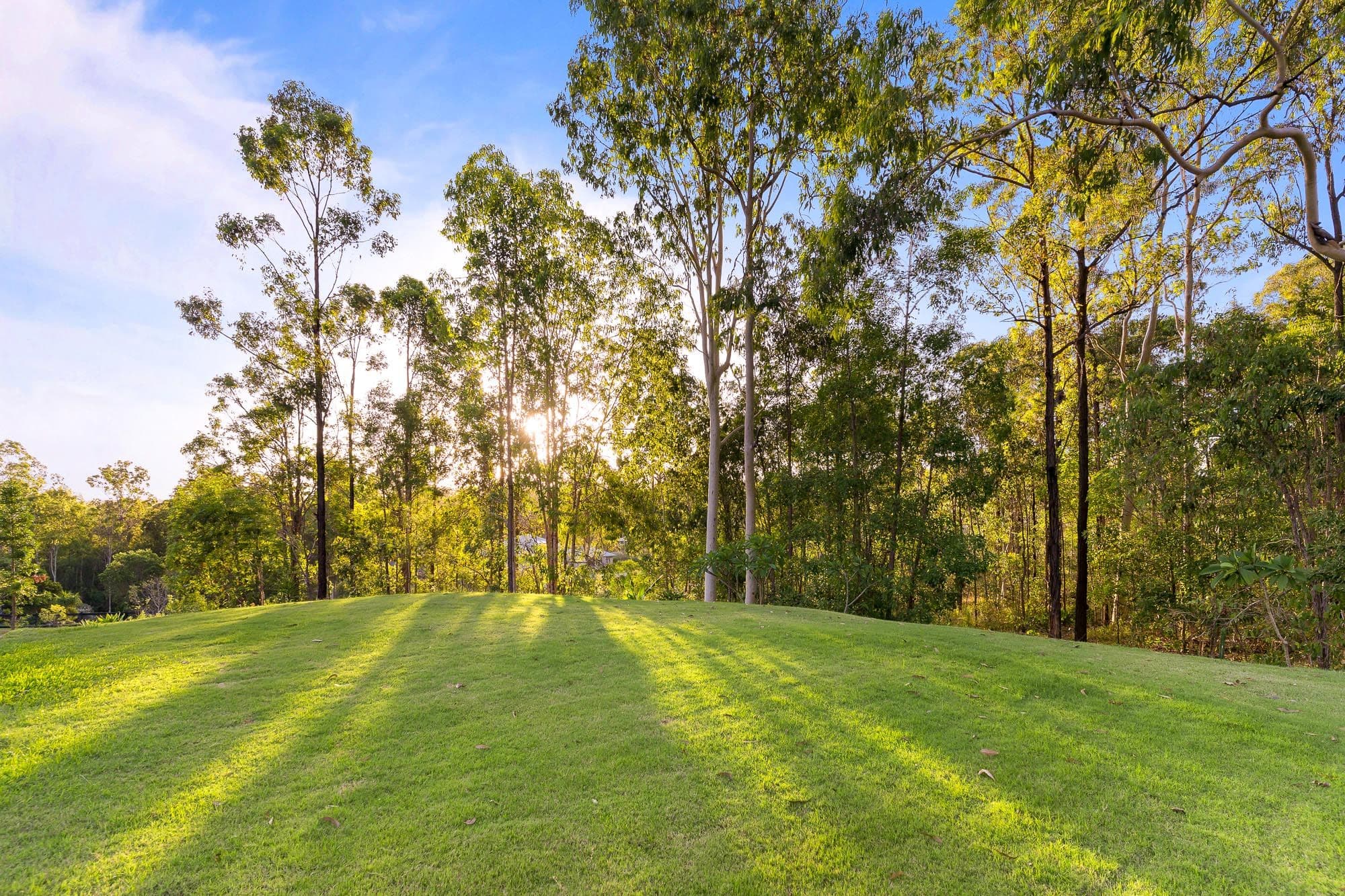 119-133 Spinebill Drive, Greenbank QLD 4124, Greenbank - Thumbnail 4
