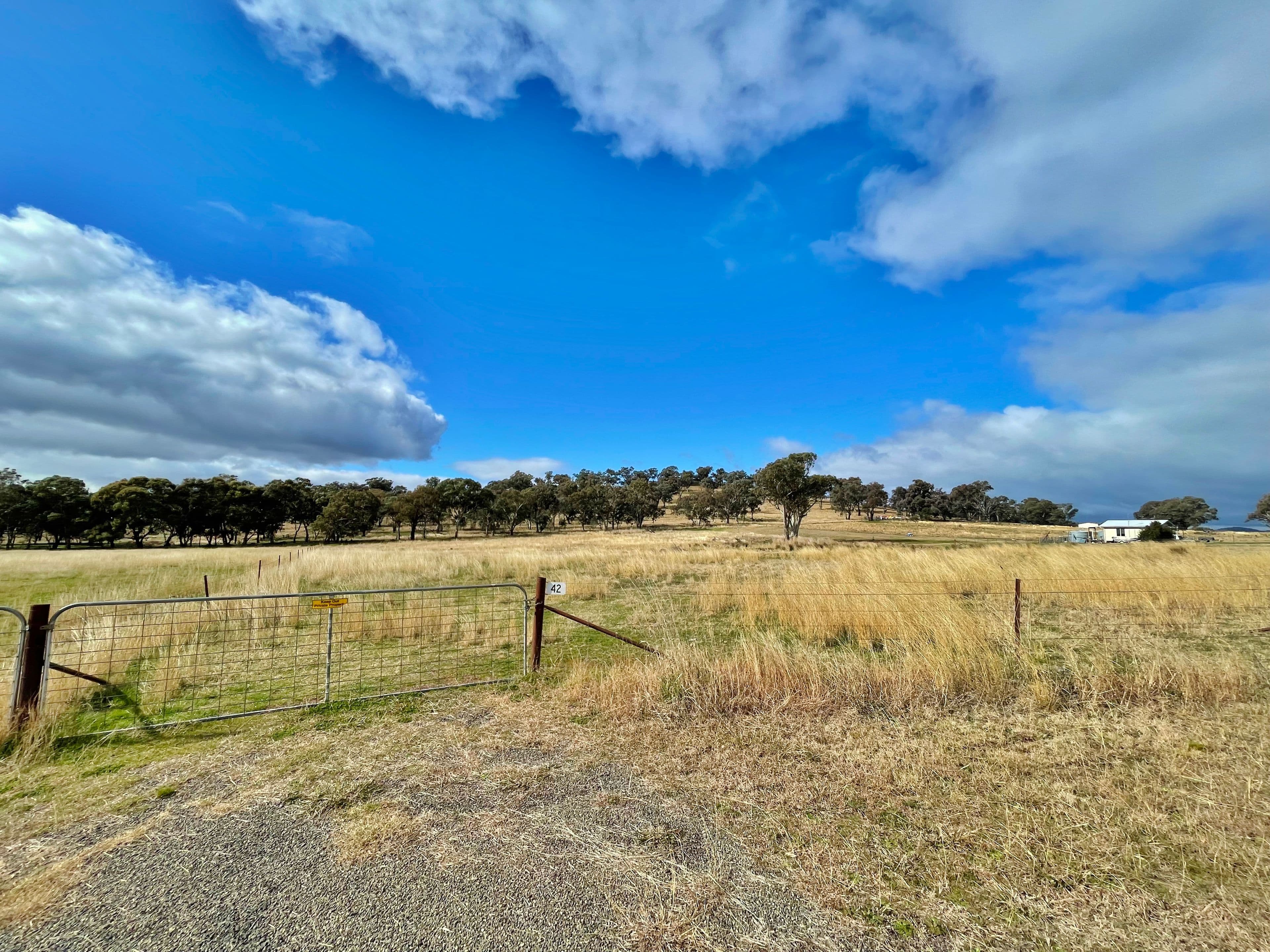 42 Dowling Dr, Murringo via, Young NSW 2594, Young - Image 1