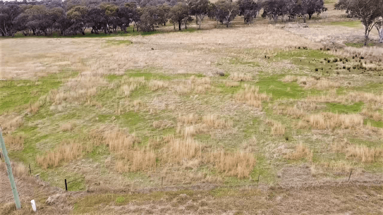 42 Dowling Dr, Murringo via, Young NSW 2594, Young - Thumbnail 3