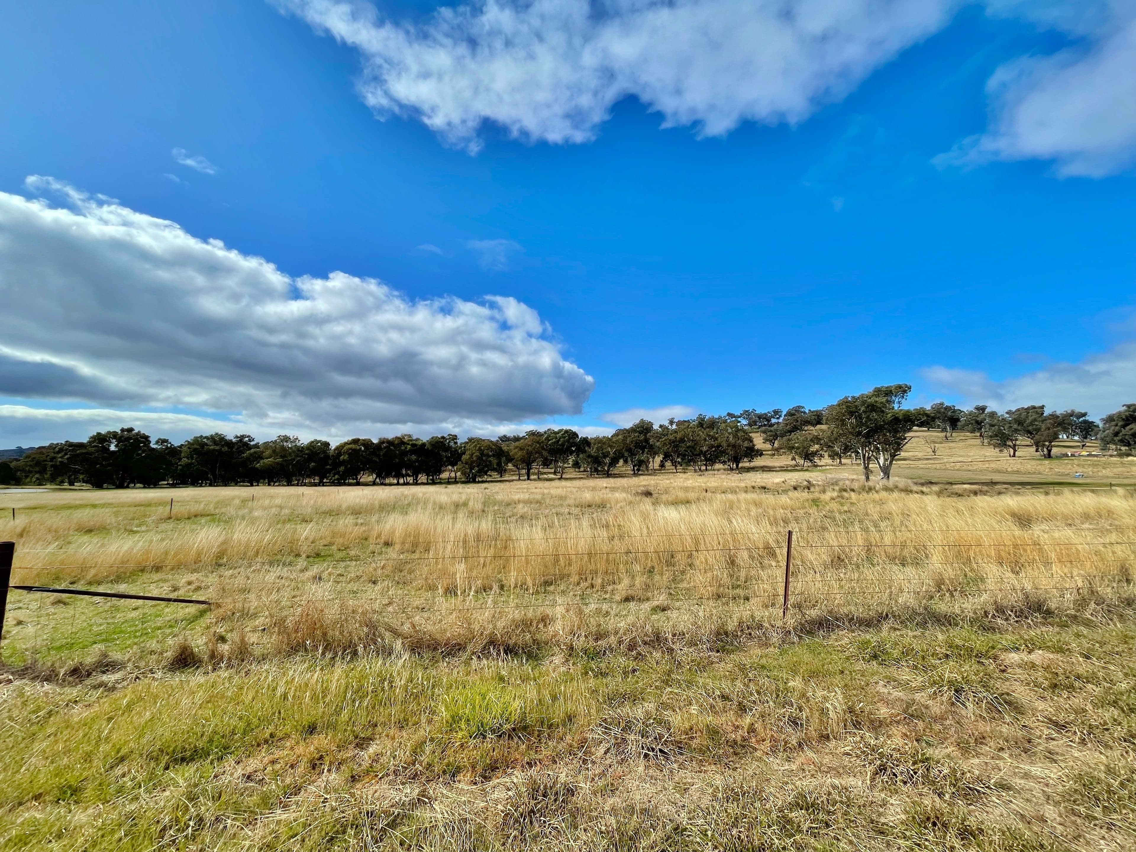 42 Dowling Dr, Murringo via, Young NSW 2594, Young - Thumbnail 4