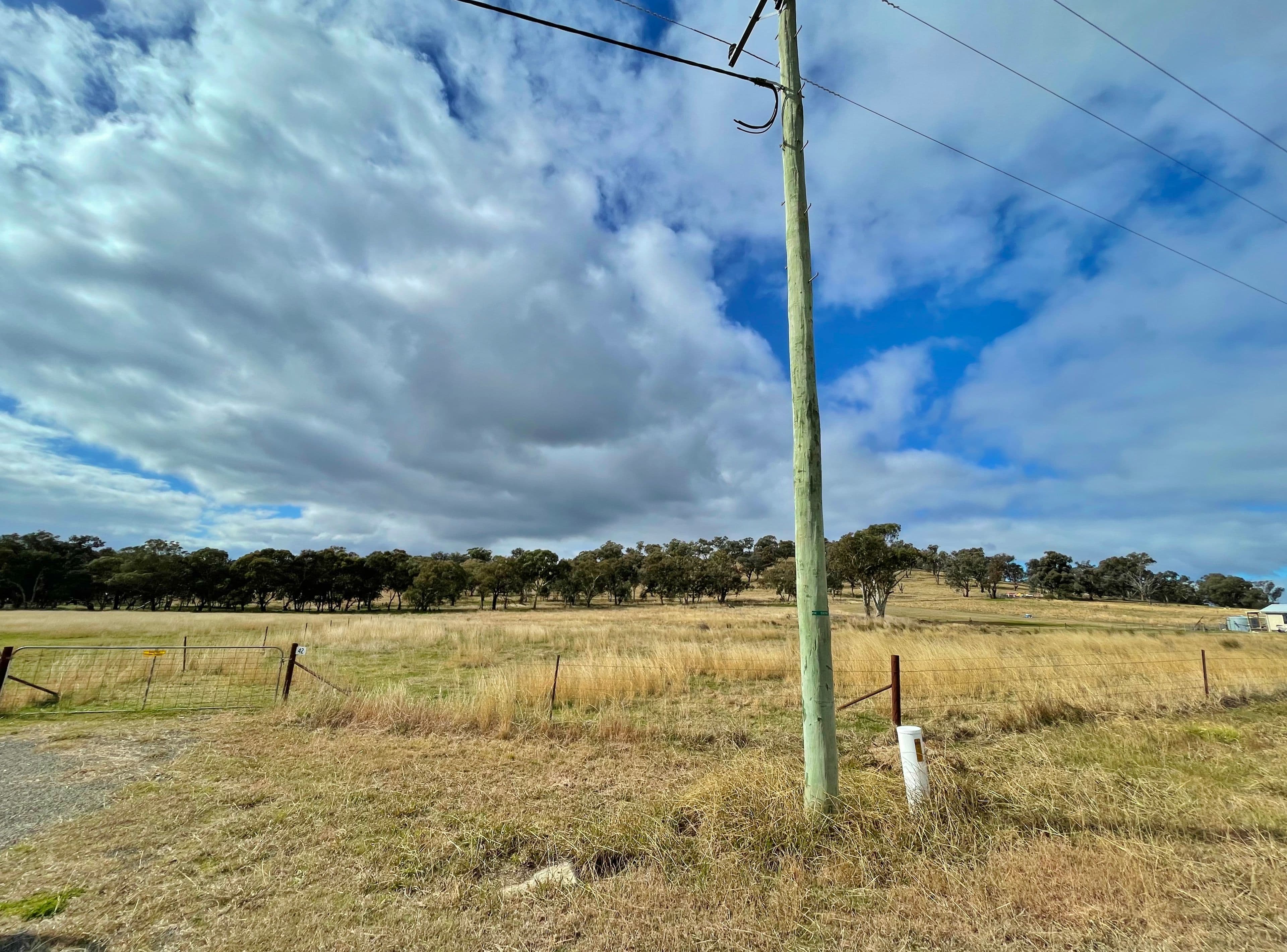 42 Dowling Dr, Murringo via, Young NSW 2594, Young - Thumbnail 5